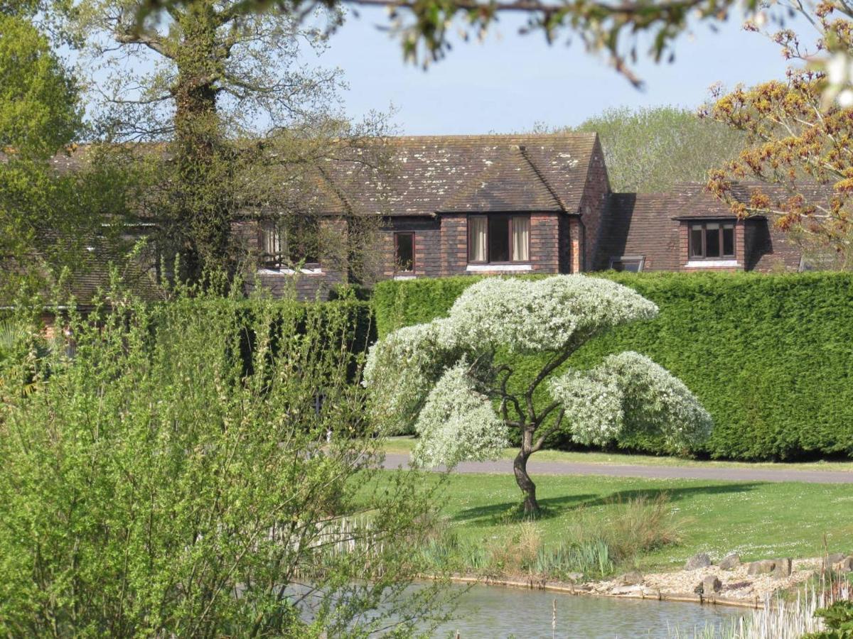 Northlands Farm - Old Farm Cottage Chichester Extérieur photo